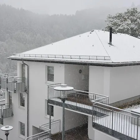 In Der Naehe Der Hessischen Berge 公寓 *