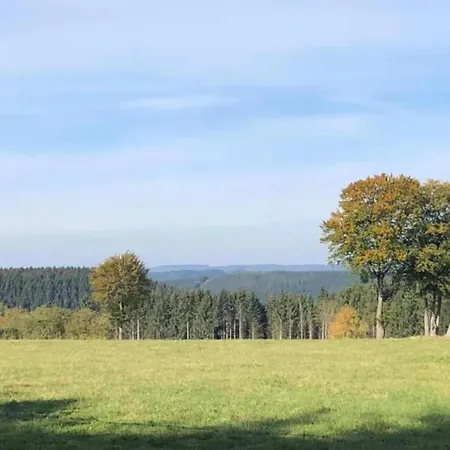 In Der Naehe Der Hessischen Berge Willingen (Upland)