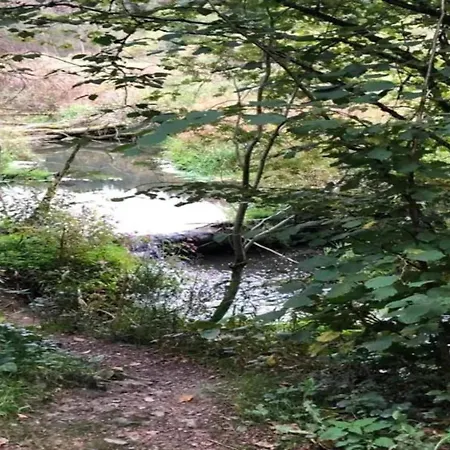 Near The Hessian Mountains Appartement Willingen (Upland)