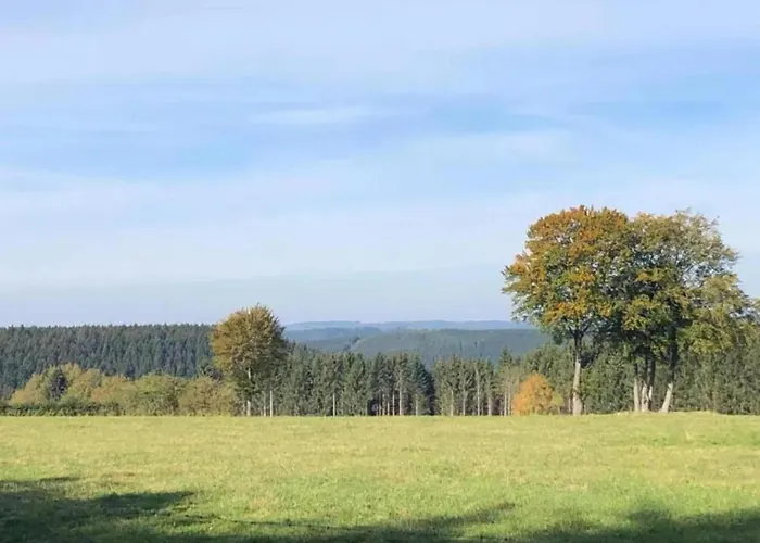 In Der Naehe Der Hessischen Berge Willingen (Upland)