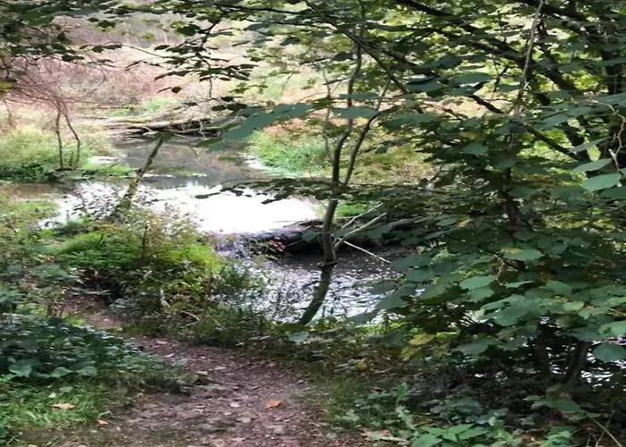 In Der Naehe Der Hessischen Berge Apartment Willingen (Upland)
