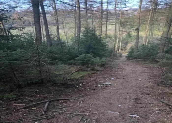 In Der Naehe Der Hessischen Berge