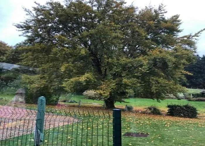 In Der Naehe Der Hessischen Berge Apartment