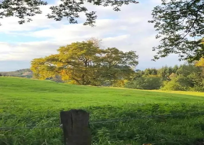 In Der Naehe Der Hessischen Berge Willingen (Upland)